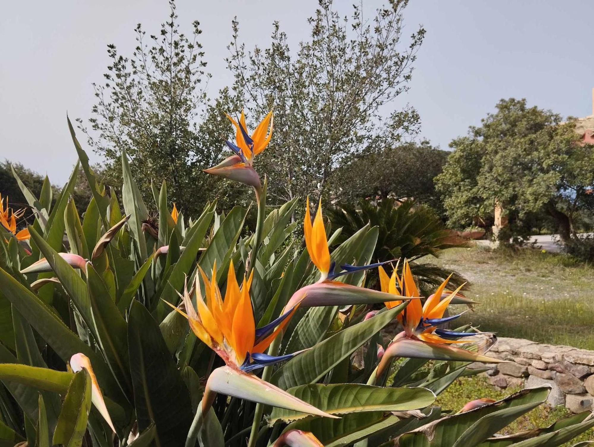 Holiday Home Riccio Di Mare Sardinia Marongiu Eksteriør billede
